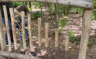 Van afvalhout tot meesterstuk – leer timmeren met oog voor hergebruik