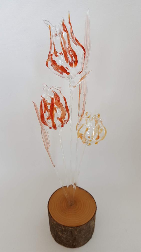 Bekijk het eindresultaat van de deelnemers!