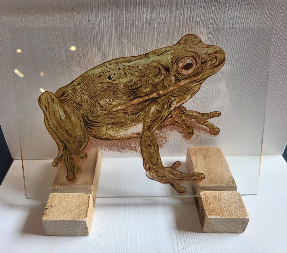 Bekijk het eindresultaat van de deelnemers!