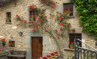 Je hart volgen en een droom verwezenlijken